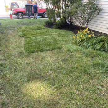 Kingstowne Residential Owners - Sod and landscaping - Homeowner Association Near Me - Alexandria, Virginia
