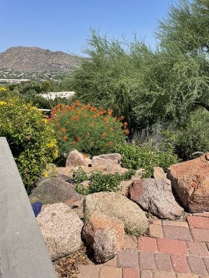 Sanctuary Camelback Mountain Resort & Spa by null