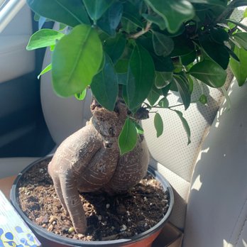 7 Dees - Nurseries & Gardening Near Me - Portland, Oregon