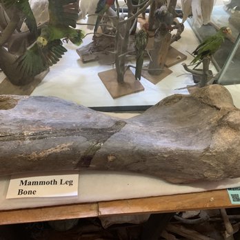 Idaho's Mammoth Cave - Real? Hmmmm - Museums Near Me - Shoshone, Idaho