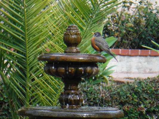 Alexander Gardens by null