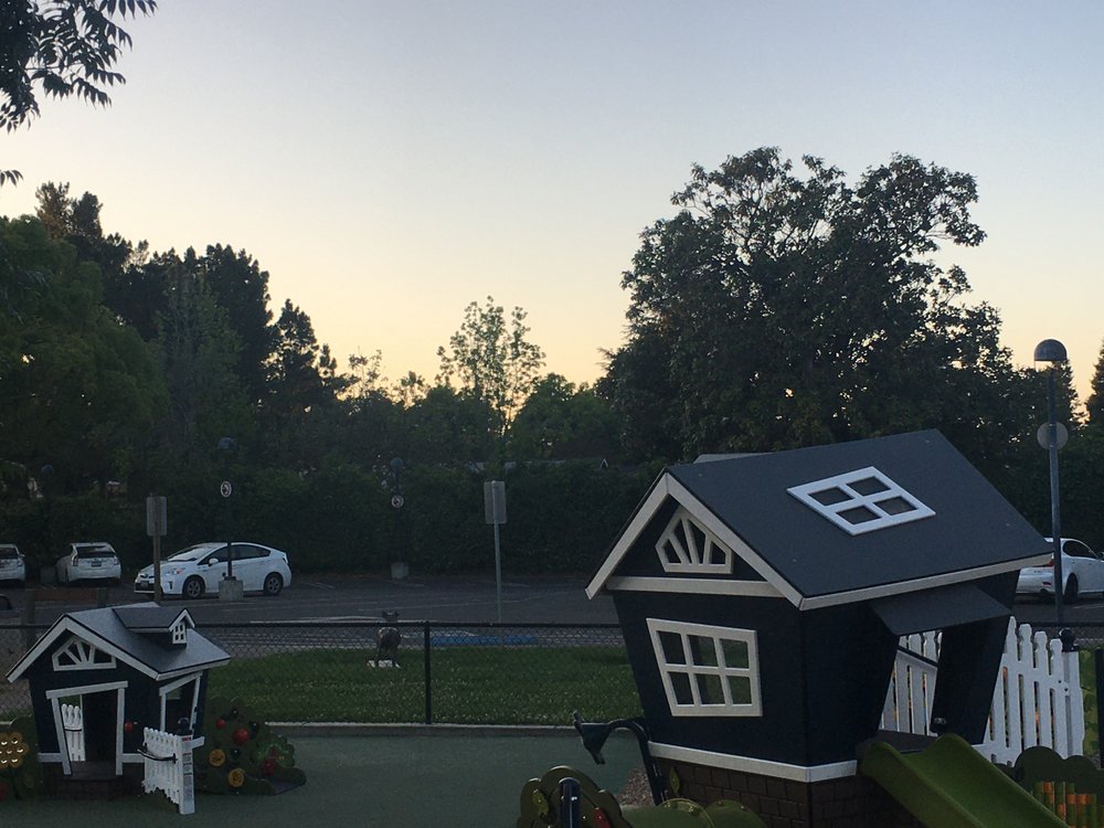 LOS ALTOS CITY HALL Updated June 2024 11 Photos 1 N San Antonio