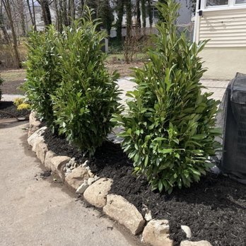 Fifth Avenue Landscaping - a rock border with shrubs in front of a house - Landscaping Near Me - Hawthorne, New Jersey Fifth Avenue Landscaping - a rock border with shrubs in front of a house - Landscaping Near Me - Hawthorne, New Jersey