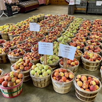 R & A Orchards - Fruits & Veggies Near Me - Ellijay, Georgia R & A Orchards - Fruits & Veggies Near Me - Ellijay, Georgia