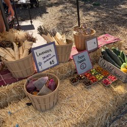 Sweet Water Farms - Farm harvested produce