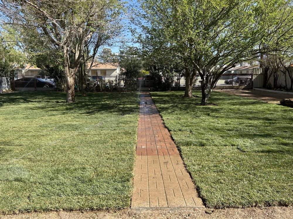 Campos Paradise - tree service in Las Vegas, NV