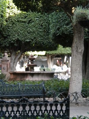 Jardín Allende by null