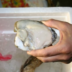 Tamashiro Market - See? I told you they were huge!!!