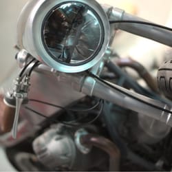 Revival Cycles