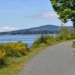 Coastal Cycle - View of Sooke Basin from the Galloping Goose