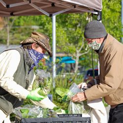 Hub City Farmers' Market