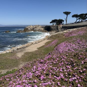 Lovers Point Park - Parks Near Me - Pacific Grove, California