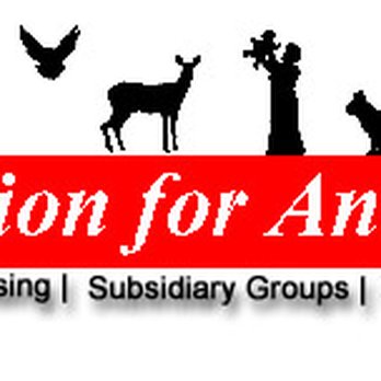 Coalition For Animals - Pet Services Near Me Coalition For Animals - Pet Services Near Me