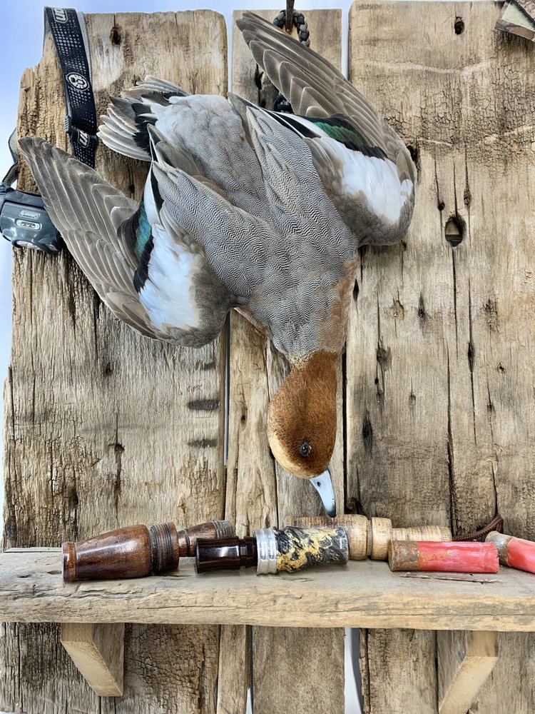 Wild Wings Taxidermy - taxidermy in Spring Hill, TN