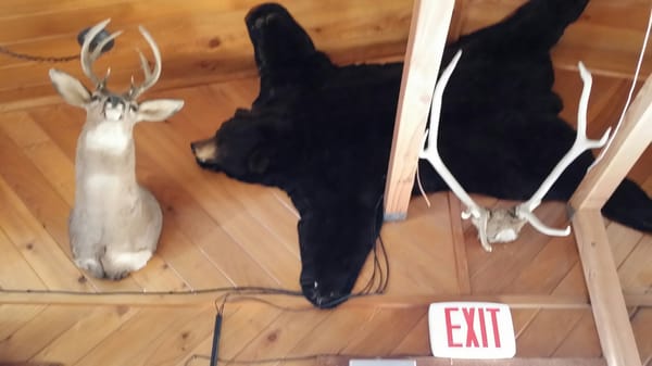 Cougar Bar & Grill by null