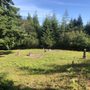 Photo of Odd Fellows Park-Jesse T Jones