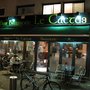 Le Cactus
