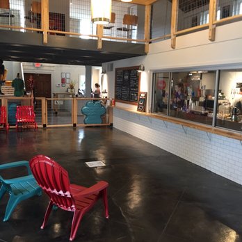 Bark Bar & Grille - Hot Dogs Near Me - Little Rock, Arkansas