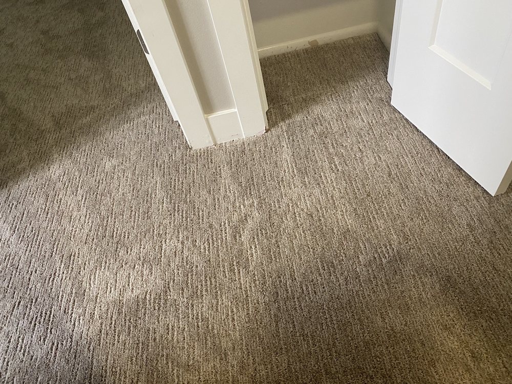 ZEROREZ DAVIS/WEBER Updated May 2024 803 North 1250 W, Centerville, Utah Carpet Cleaning