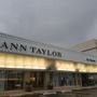 Photo of Ann Taylor