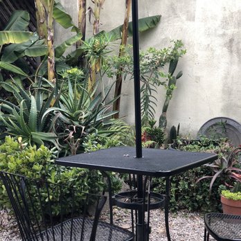 Rock Espresso Bar - Outdoor garden in the back. Lots of lush green - Coffee & Tea Near Me - Morro Bay, California Rock Espresso Bar - Outdoor garden in the back. Lots of lush green - Coffee & Tea Near Me - Morro Bay, California