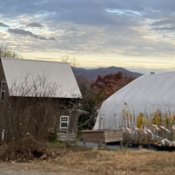 Edible Landscaping - Looking down toward the offices and greenhouses - Nurseries & Gardening Near Me - Afton, Virginia