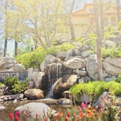 Loma Linda Springs