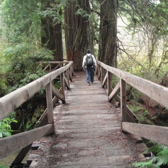 Prairie Creek Redwoods State Park - Parks Near Me - Orick, California Prairie Creek Redwoods State Park - Parks Near Me - Orick, California