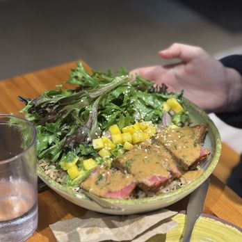 Avo Taco - Calypso Steak Bowl - Cocktail Bars Near Me - New Hyde Park, New York Avo Taco - Calypso Steak Bowl - Cocktail Bars Near Me - New Hyde Park, New York