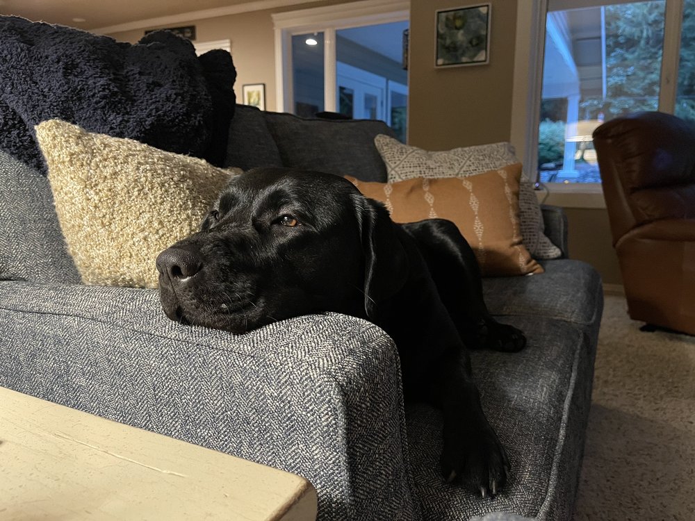 SANSACO FURNITURE 21 Photos & 127 Reviews 5920 S 180th St, Tukwila