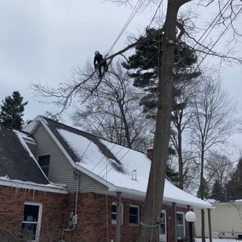 Tawas Tree Care - Tree Services Near Me Tawas Tree Care - Tree Services Near Me