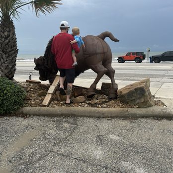 Exxon - got to spend some place next to the buffalo while we figured out what do do - Gas Stations Near Me - Galveston, Texas Exxon - got to spend some place next to the buffalo while we figured out what do do - Gas Stations Near Me - Galveston, Texas