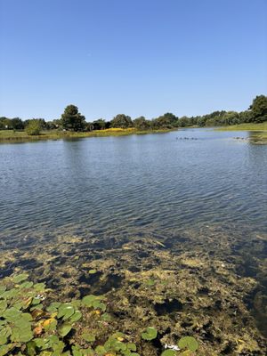 Chicago Botanic Garden by null