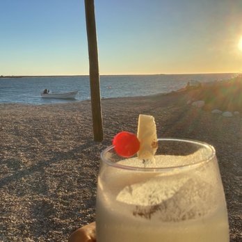 Antonio's EcoTours - Lovely happy hour sunset party every night when you stay with Antonio's! Such a great experience. - Whale Watching Tours Near Me