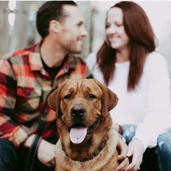 Palos Studio - Hank's first photo shoot - Photographers Near Me