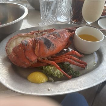 Prime Catch - This was my 2.0 pound Lobster - Seafood Near Me - Boynton Beach, Florida Prime Catch - This was my 2.0 pound Lobster - Seafood Near Me - Boynton Beach, Florida