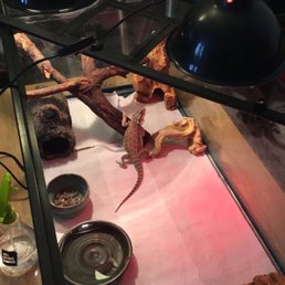 I got most of this set up, including the tank, for 50$. Great deals here. I got most of this set up, including the tank, for 50$. Great deals here.