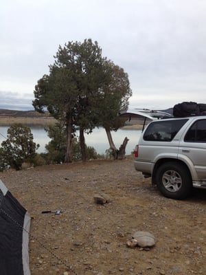 Navajo Lake State Park - Pine Campground by null
