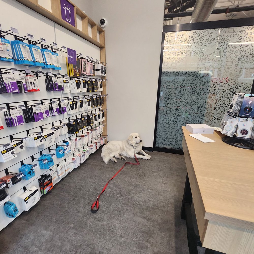 uBreakiFix by Asurion - Mr. Troika patiently waiting - Mobile Phone Repair Near Me - Chicago, Illinois uBreakiFix by Asurion - Mr. Troika patiently waiting - Mobile Phone Repair Near Me - Chicago, Illinois