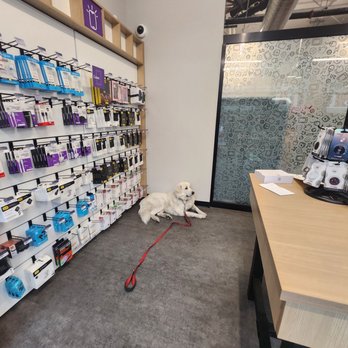uBreakiFix by Asurion - Mr. Troika patiently waiting - Mobile Phone Repair Near Me - Chicago, Illinois