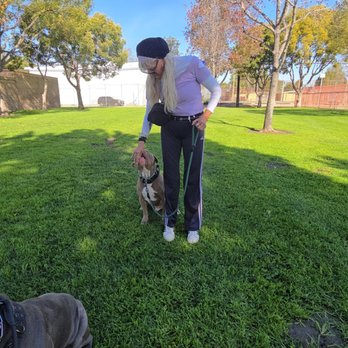 Persistent Paws Dog Training - Mom training ares how to heel - Pet Training Near Me