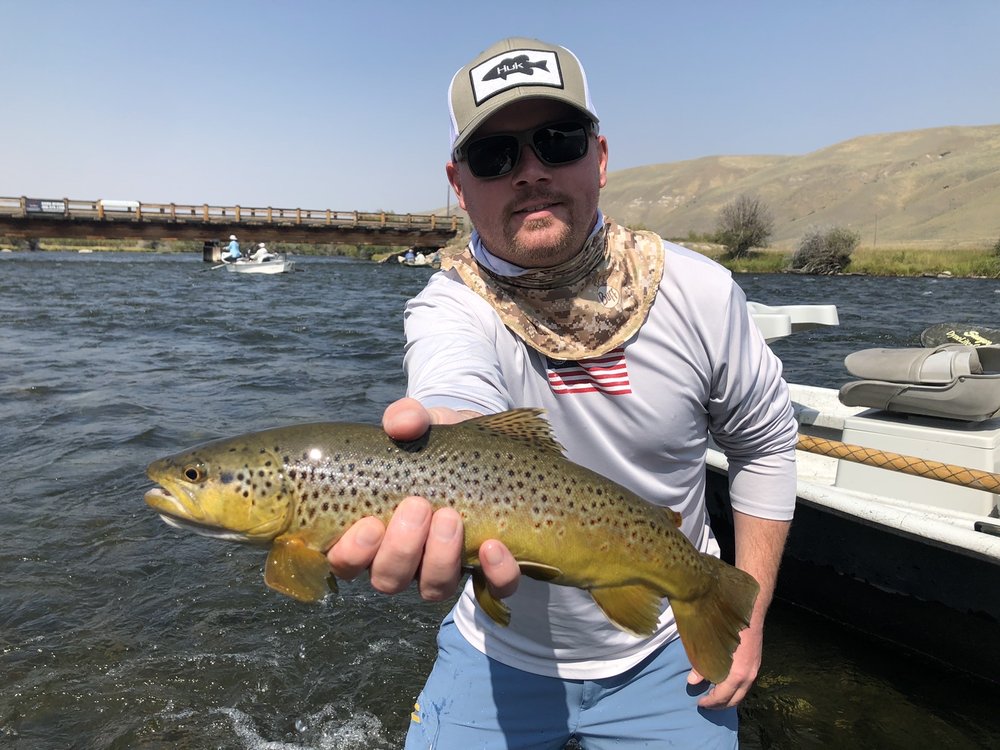 Wild Trout Outfitters Logo