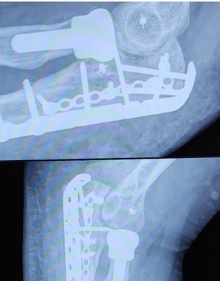 Brown's | Downtown Hotel by null