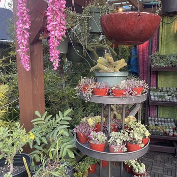 Tansy - Home Decor Near Me - Burbank, California
