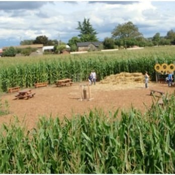 The Pumpkin Patch - Fruits & Veggies Near Me - Portland, Oregon The Pumpkin Patch - Fruits & Veggies Near Me - Portland, Oregon