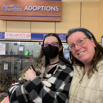 Lake County Community Cats - Clyde's Adoption from Mentor PetSmart - Animal Shelters Near Me - Euclid, Ohio Lake County Community Cats - Clyde's Adoption from Mentor PetSmart - Animal Shelters Near Me - Euclid, Ohio