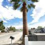 Photo of United Tree and Palm Service