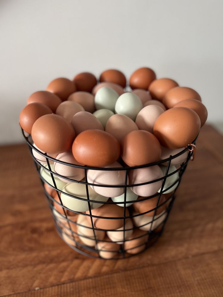 KING CREEK FARMS 14 Photos 192 Benninger Rd, Delanson, New York