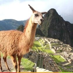 Rainforest Cruises - Add on a land tour to your cruise- Machu Picchu Peru