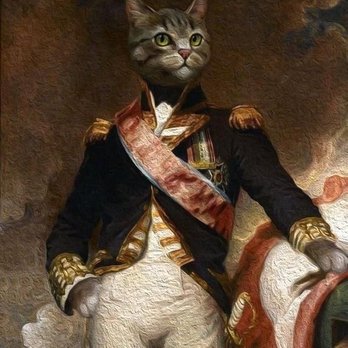 Cat Connection - His Imperial and Royal Apostolic Majesty, Franzi - Pet Sitting Near Me - Dallas, Texas
